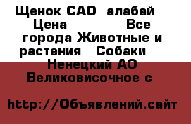 Щенок САО (алабай) › Цена ­ 10 000 - Все города Животные и растения » Собаки   . Ненецкий АО,Великовисочное с.